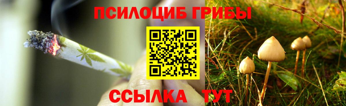 Галлюциногенные грибы MAGIC MUSHROOMS  Галлюциногенные грибы GOLDEN TEACHER  Елизово  Вход с VPN 
